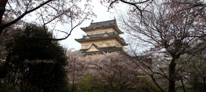 Odawara Castle:  The Rise and Fall of the Hojo