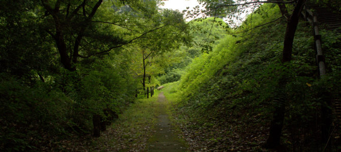 The Ruins of Japan