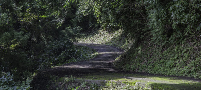 An Exercise in Heat Exhaustion and Dehydration in Odawara