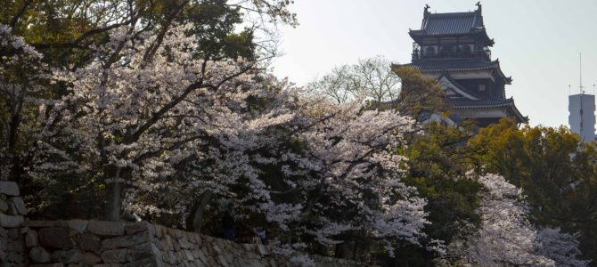 Hanami in Hiroshima