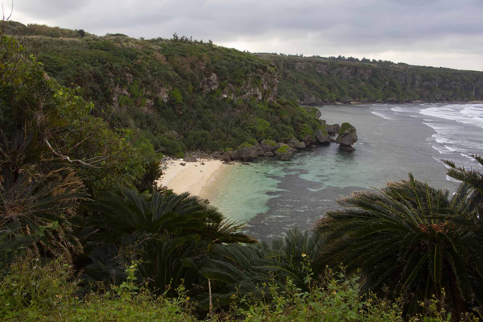 Okinoerabujima: One of Japan’s Hidden Tropical Getaways