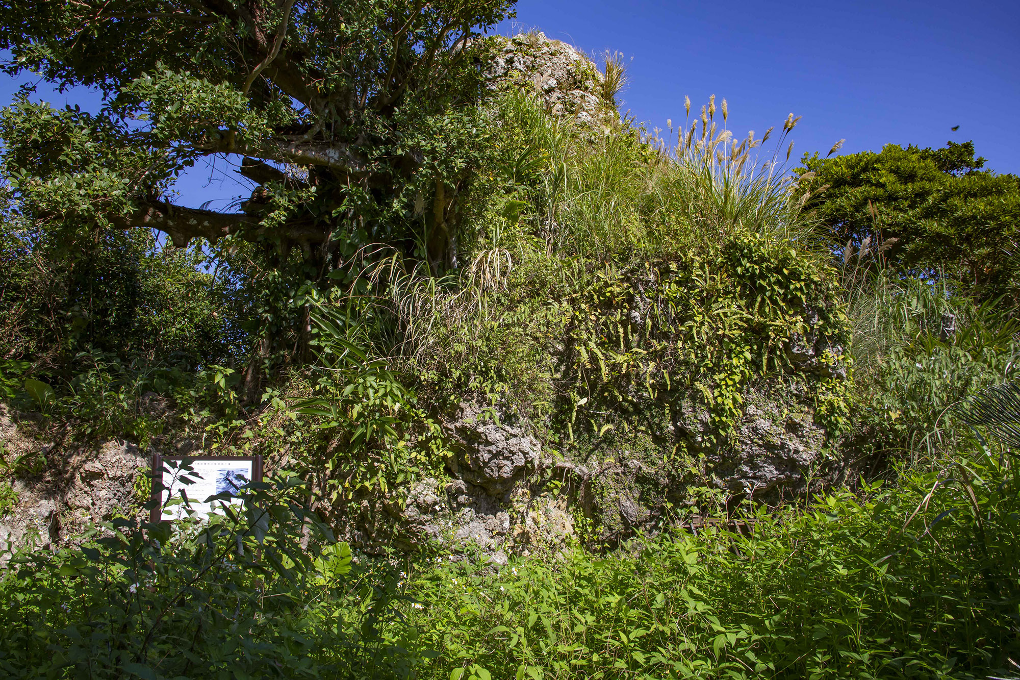 A Hill by Any Other Name: Nakagusuku’s Pinnacle (161.8 Kouchi Jinchi)